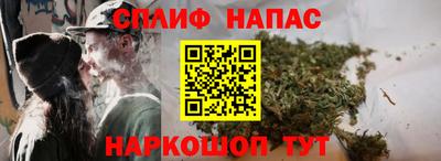 спиды Камышлов