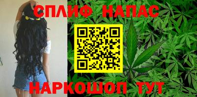 спиды Камышлов