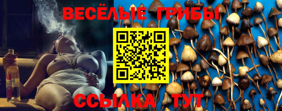 Курчатов  купить наркотики цена  Вход с VPN  Псилоцибиновые грибы Magic Shrooms 